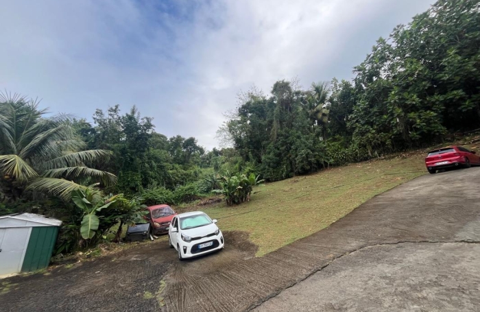 Vente Terrain 1200m&sup2; Les Abymes