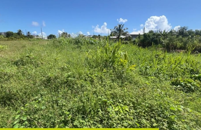 Le Moule -Terrain constructible 522m2