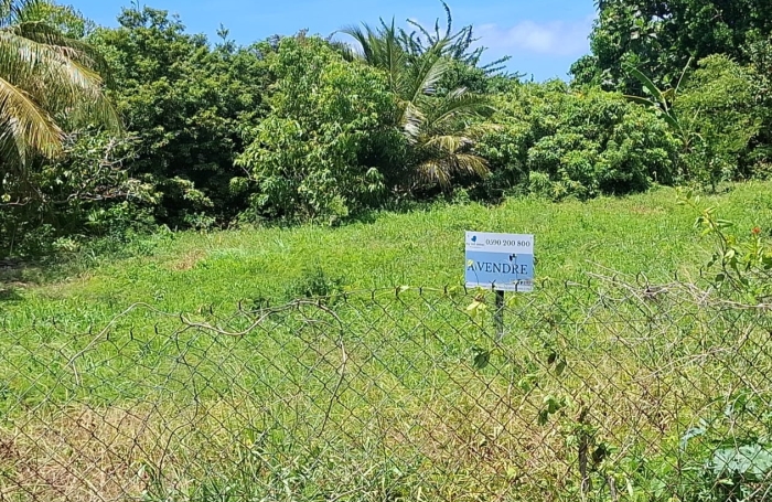 Vente Terrain 97118