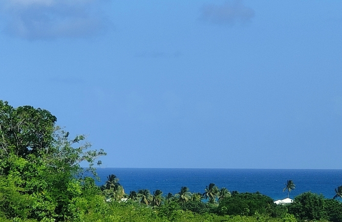 Vente Terrain 97118
