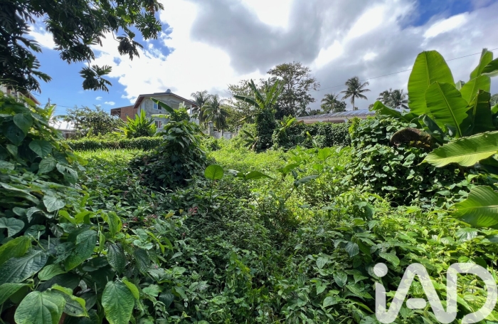 Vente Terrain 1015m&sup2; Capesterre Belle Eau