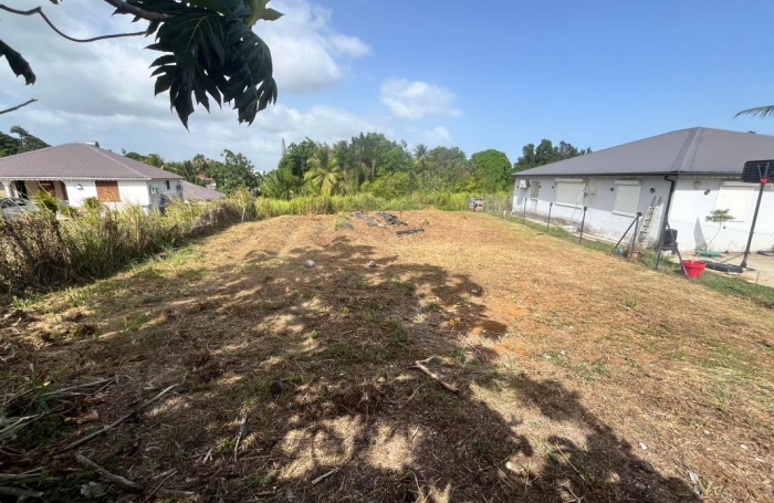 Vente Terrain 548m&sup2; Baie Mahault