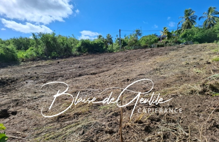 Vente Terrain 1000m&sup2; Saint Fran&ccedil;ois