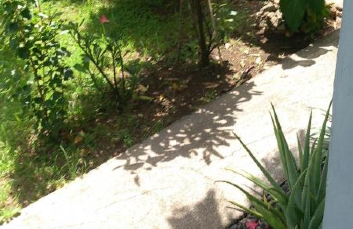 Location Maison 97180