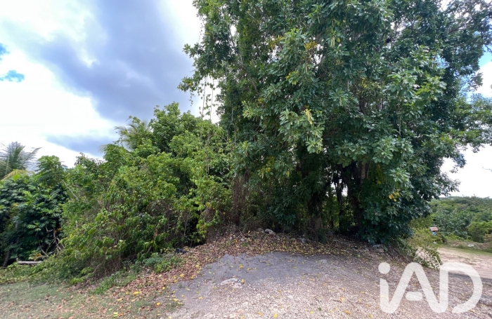 Vente Terrain 97190