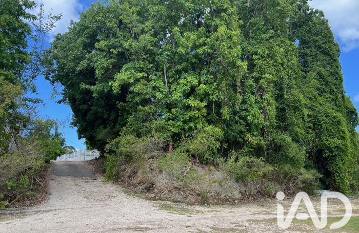 Vente Terrain 532m&sup2; Gosier