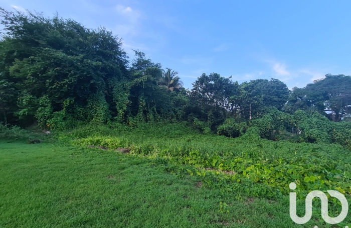 Vente Terrain 963m&sup2; Morne &agrave; l'eau