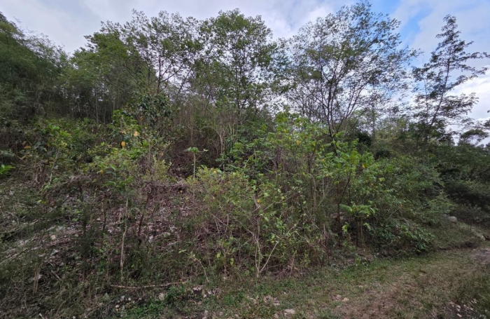 Vente Terrain 1022m&sup2; Sainte Anne
