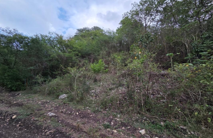 Vente Terrain 1022m&sup2; Sainte Anne