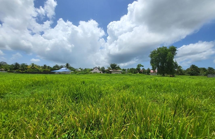 Vente Terrain 97139