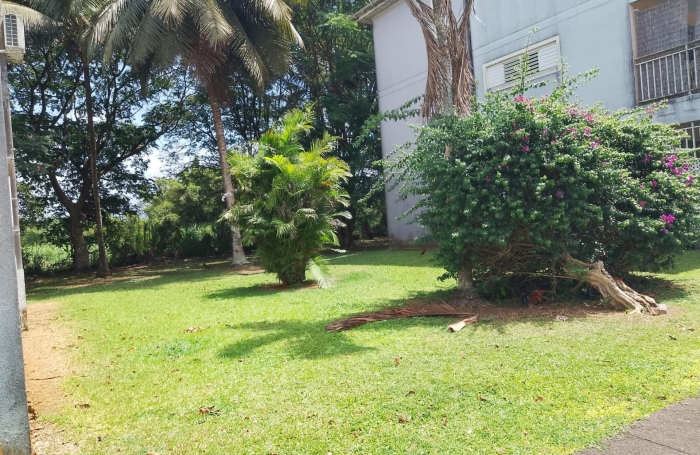 Vente Appartement 97115