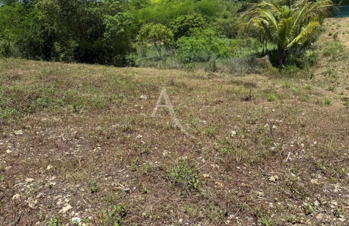 Vente Terrain 779.47m&sup2; Sainte Anne