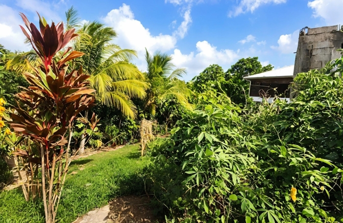 Vente Maison 73m&sup2; 4 pièces Sainte Anne