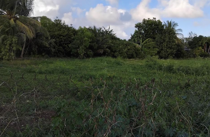 A Dubedou Saint Fran&ccedil;ois, beau terrain plat de 629m2 &agrave; vendre dans un secteur r&eacute;sidentiel.