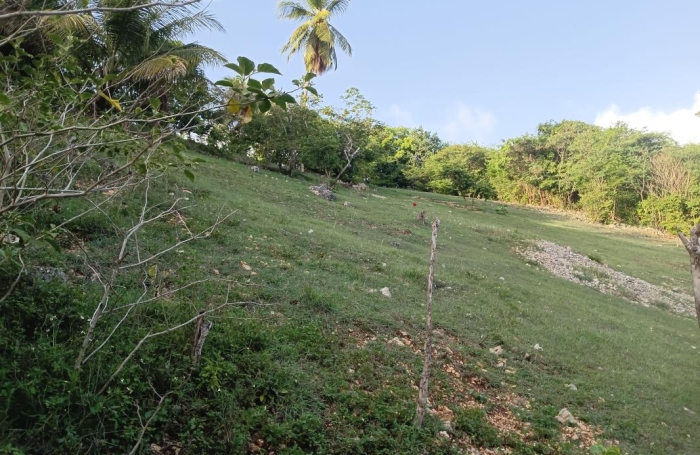 Vente Terrain 1000m&sup2; Sainte Anne