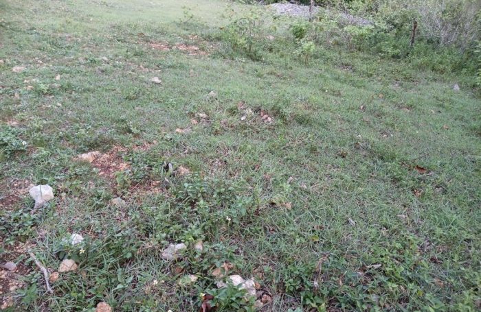Vente Terrain 1000m&sup2; Sainte Anne