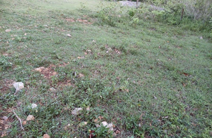 Vente Terrain 1000m&sup2; Sainte Anne