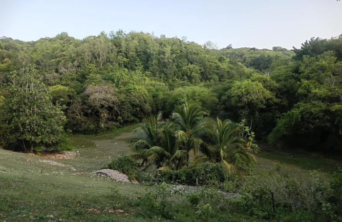 Vente Terrain 1000m&sup2; Sainte Anne
