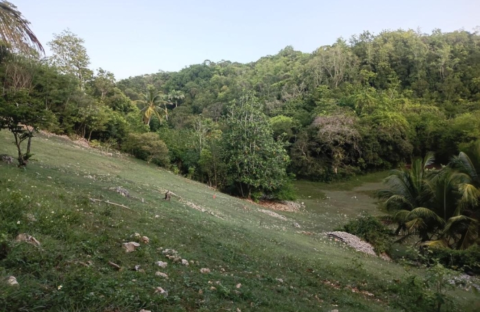 Vente Terrain 1000m&sup2; Sainte Anne