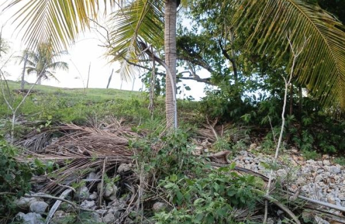 Vente Terrain 1000m&sup2; Sainte Anne
