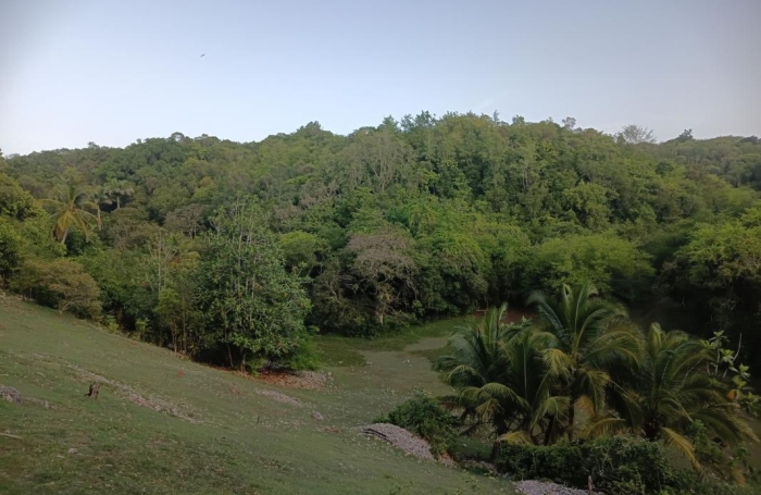 Vente Terrain 1000m&sup2; Sainte Anne