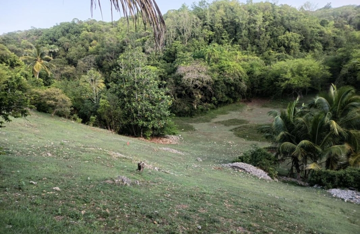 Vente Terrain 1000m&sup2; Sainte Anne