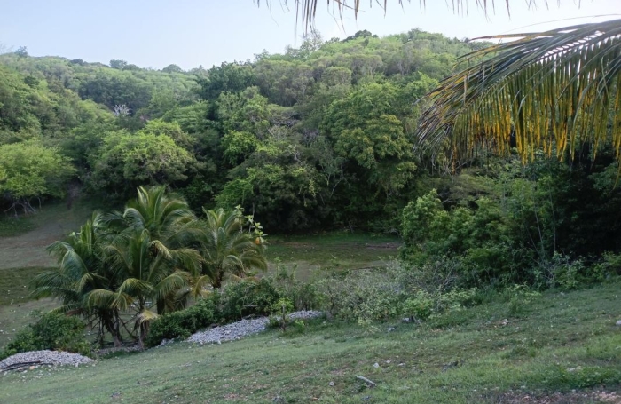 Vente Terrain 1000m&sup2; Sainte Anne