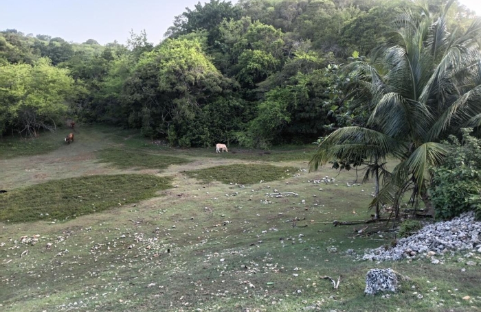 Vente Terrain 1000m&sup2; Sainte Anne
