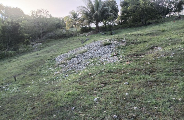 Vente Terrain 1000m&sup2; Sainte Anne