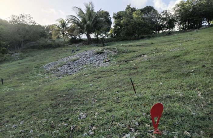 Vente Terrain 1000m&sup2; Sainte Anne
