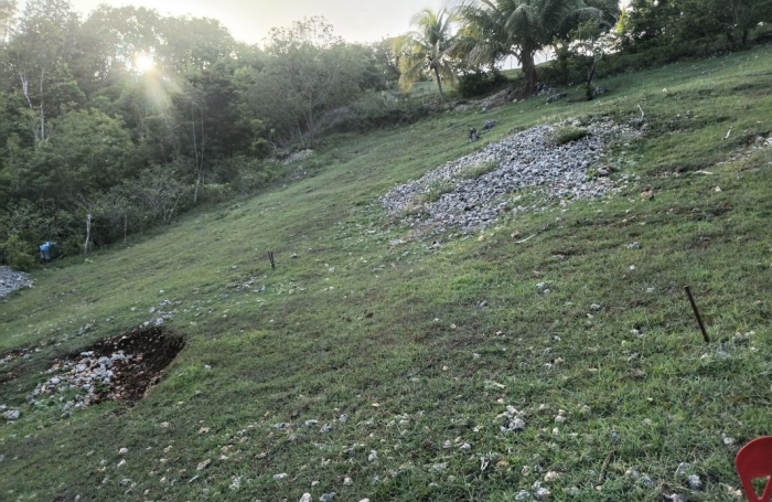 Vente Terrain 1000m&sup2; Sainte Anne
