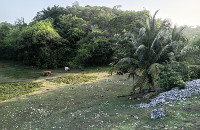 Vente Terrain 1000m&sup2; Sainte Anne
