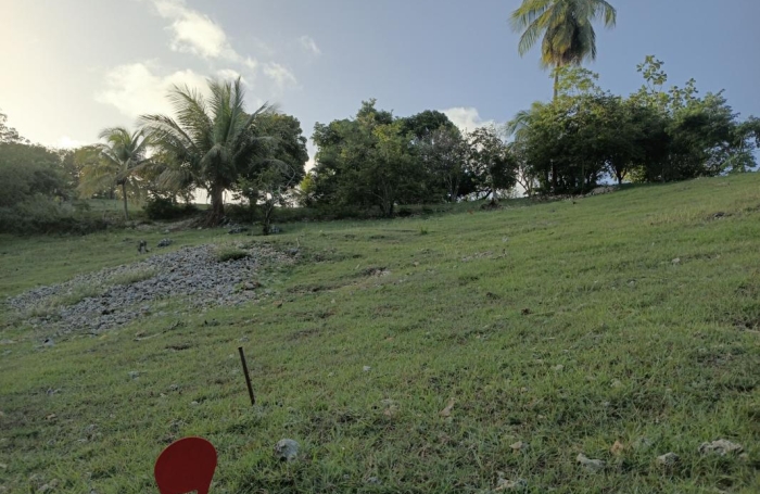 Vente Terrain 1000m&sup2; Sainte Anne