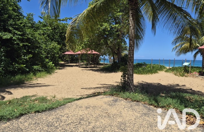 Vente Terrain 1185m&sup2; Deshaies