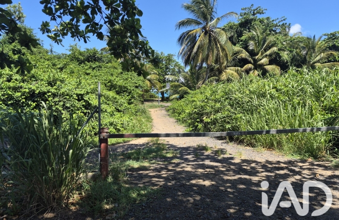 Vente Terrain 1185m&sup2; Deshaies