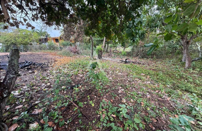 Vente Terrain 601m&sup2; Sainte Anne