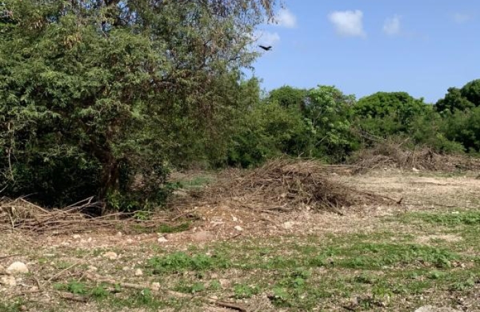 Vente Terrain 729m&sup2; Saint Fran&ccedil;ois