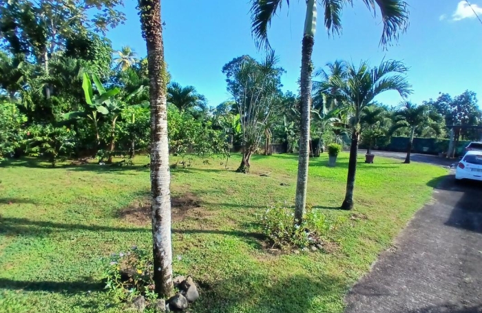 Vente Maison 113.68m&sup2; 5 pièces Capesterre Belle Eau