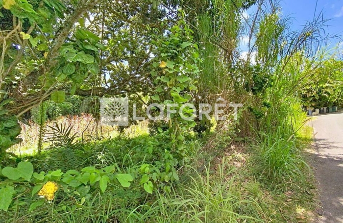 Vente Terrain 500m&sup2; Petit-Bourg