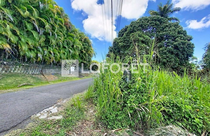 Vente Terrain 500m&sup2; Petit-Bourg