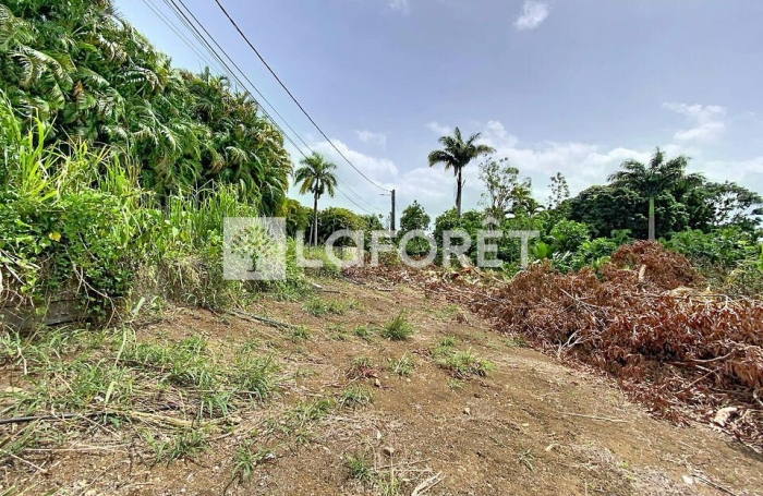 Vente Terrain 500m&sup2; Petit-Bourg