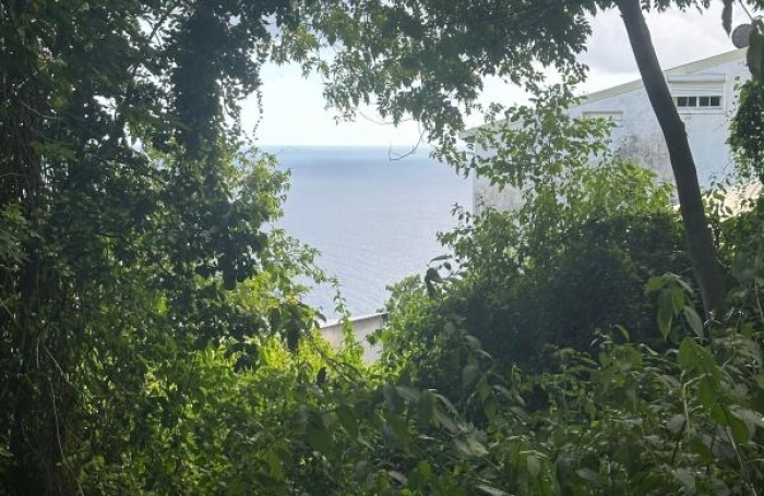 Vente Terrain 2220m&sup2; Vieux Fort