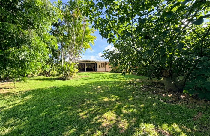 Location Maison 97180