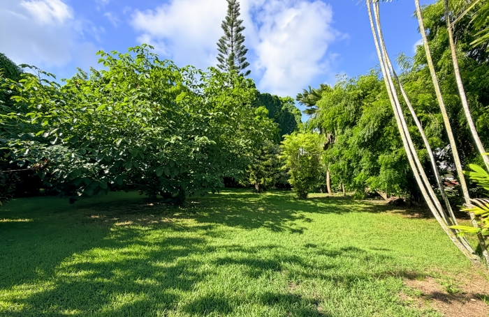Villa F5 meubl&eacute;e, grands volumes ouverts, magnifique jardin arbor&eacute;