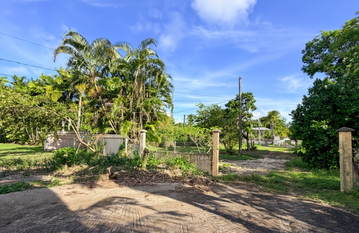 Villa F5 meubl&eacute;e, grands volumes ouverts, magnifique jardin arbor&eacute;