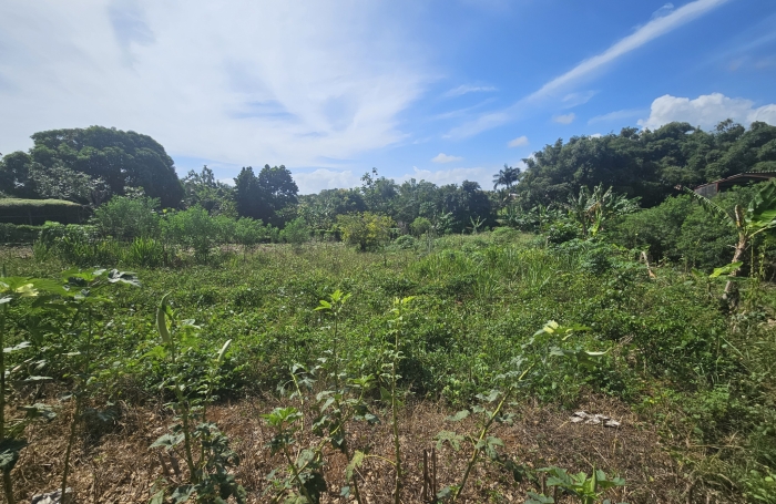 A SAISIR! Lotissement r&eacute;sidentiel de constructeur de 10 lots