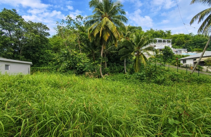 Vente Maison 97190