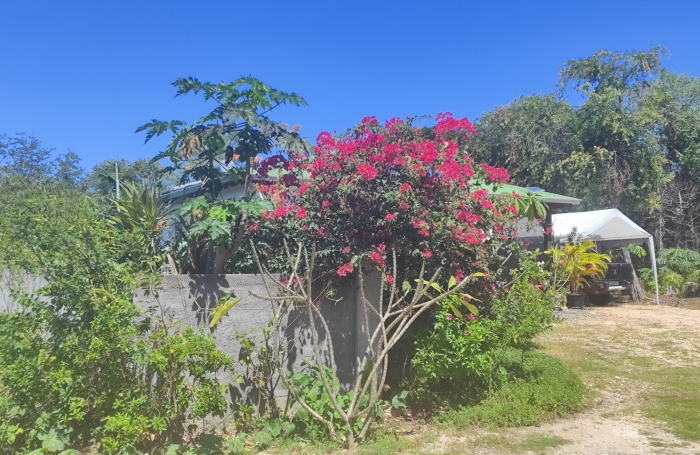 Vente Maison 97.77m&sup2; 3 pièces Anse-Bertrand