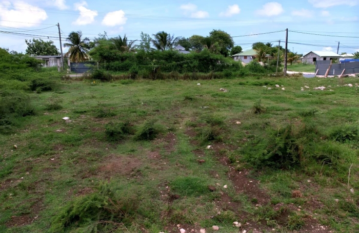 Vente Terrain 97118
