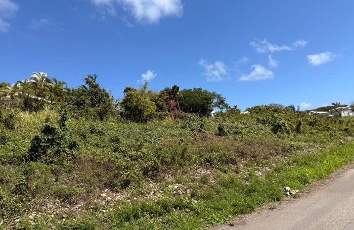 Vente Terrain 605m&sup2; Sainte Anne